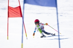 Course open Gréolières 2025