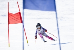 Course open Gréolières 2025