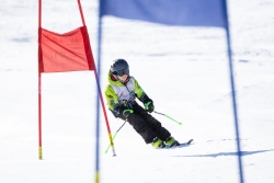 Course open Gréolières 2025