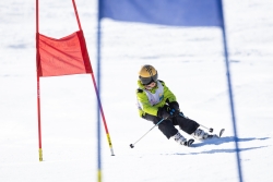 Course open Gréolières 2025